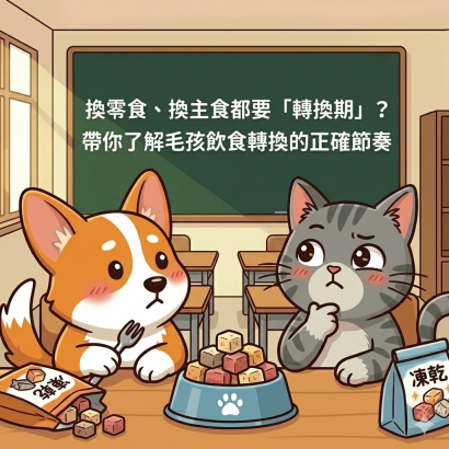 換零食、換主食都要「轉換期」？ 帶你了解毛孩飲食轉換的正確節奏.jpg